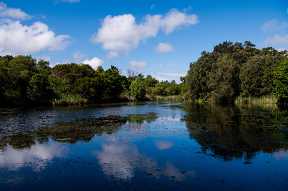 The Mill Pond in Botany, near where Sydney Water periodically releases raw sewage.