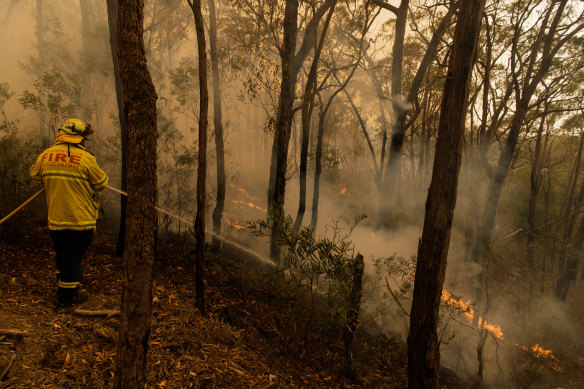Firefighters conducting backburning at Hill Top, near Bowral.