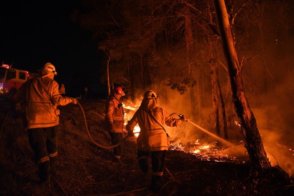 NSW Rural Fire Service volunteers battle a blaze in southern NSW in January 2020.