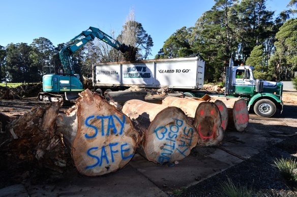 Messages of support sprayed on fallen trees at Kalorama football oval.
