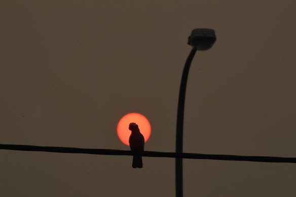 An eerie layer of smog covers Kempsey at dawn as much of eastern NSW faces extreme or catastrophic fire conditions.