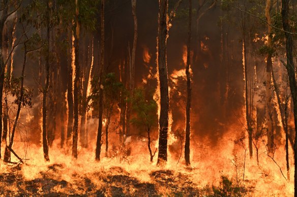 Defensive backburns near Warragamba Dam failed to prevent almost the entire catchment burning.