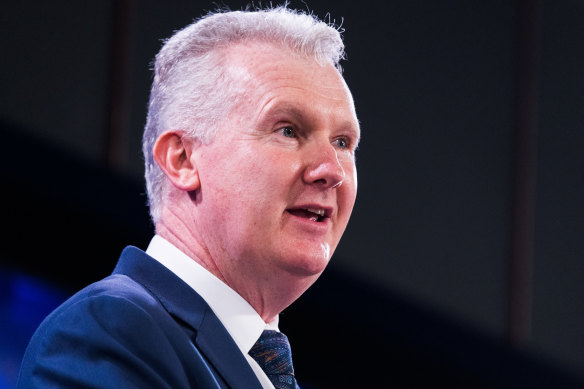 Workplace Relations Minister Tony Burke.