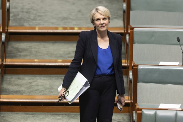 Environment Minister Tanya Plibersek in parliament last month.