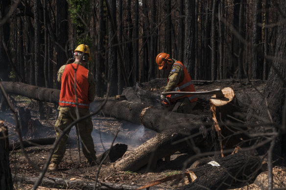 Australian Defence Force members assist in the clearing of trees that pose a threat in Lake Conjola.