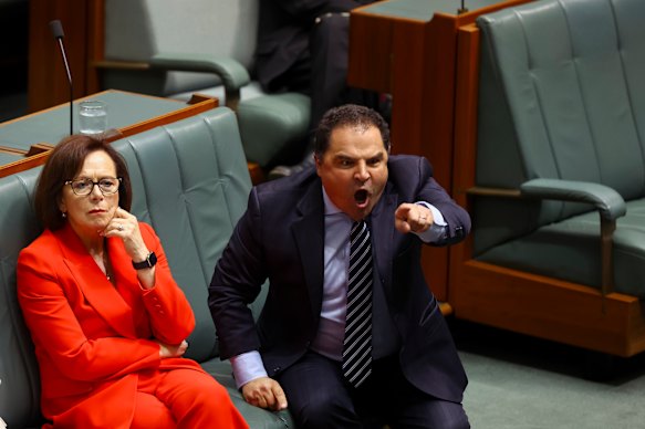 Shadow Minister for Scrutiny of Government Waste and Accountability Tony Pasin during question time.