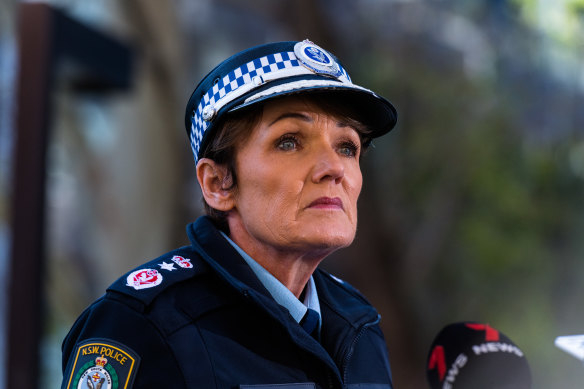 NSW Police Commissioner Karen Webb says police would speak to killer Joel Cauchi’s family in Queensland.