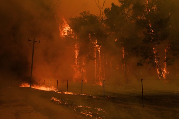 The clean-up and recovery costs from the fires will run into the billions of dollars nationally. Debate will likely turn to whether governments could have done more to limit the bill.