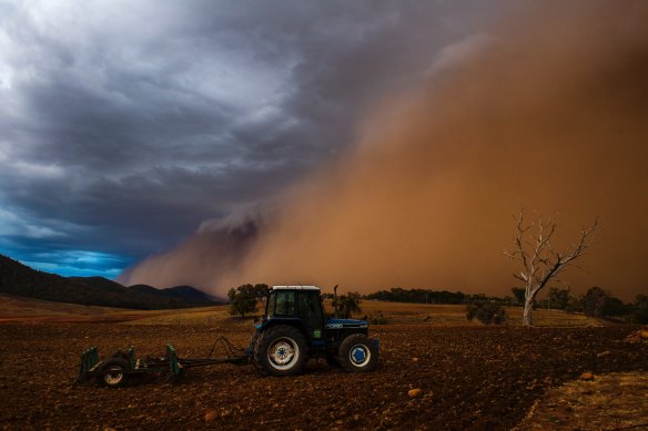 Thick dust clouds temporarily blocked out the sun in Parkes, Narromine, Nyngan and Orange. Pictured, west of Orange.

