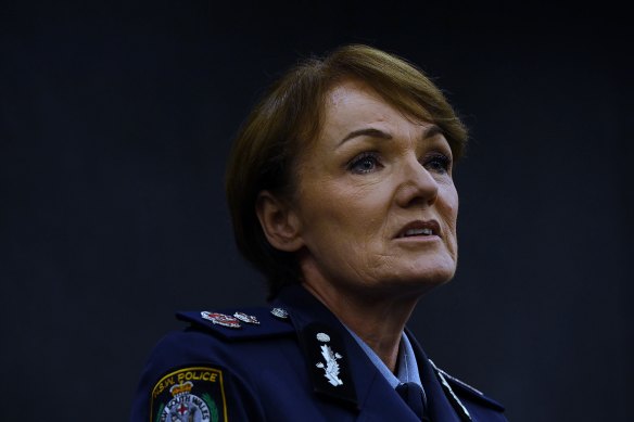 NSW Police Commissioner Karen Webb said the online system helps victims control their level of contact with police while enabling them to provide information. 