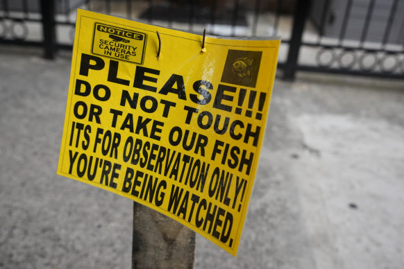 A sign is posted near to a pool of water with fish swimming inside in the Brooklyn borough of New York.