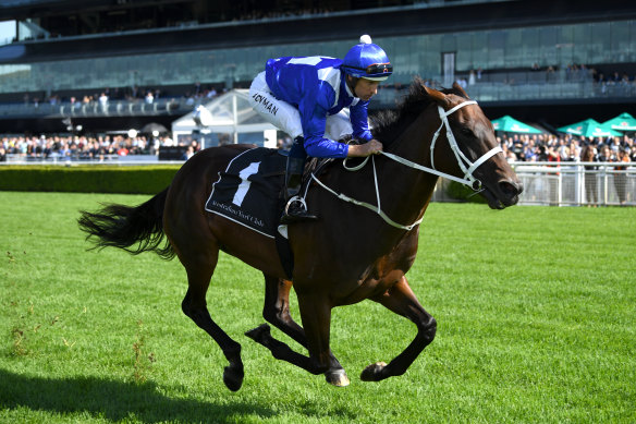 A son or daughter of Winx would be worth more than $5 million at auction according to bloodstock experts. 