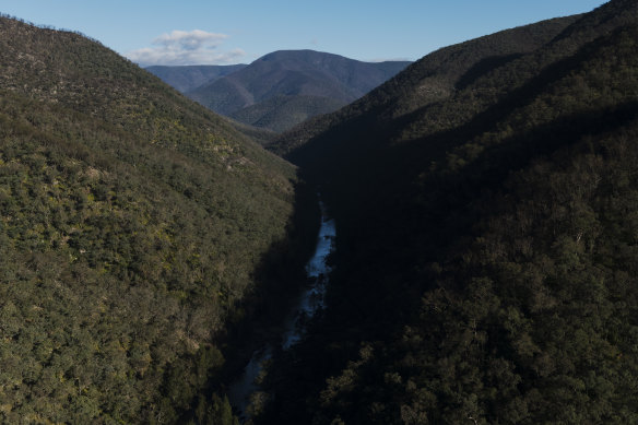 The federal environment department has been critical of the draft environment plant put forward to lift Warragamba Dam's wall, particularly the way the NSW government wants to treat biodiversity offsets.