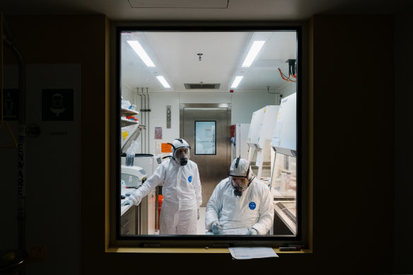 The variant lab at the Kirby Institute – seen here through thick protective glass.