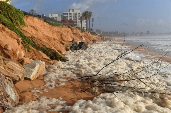 Managing coastal erosion is one example of the role councils play in wider matters of environmental significance, such as climate change and biodiversity. 