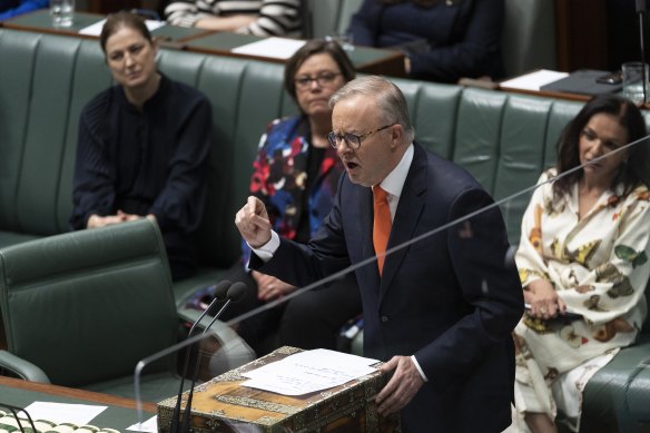 Anthony Albanese during the censure motion today.