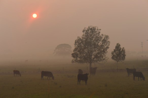 Smoke caused a red dawn at Port Macquarie, as fires burnt in the area.