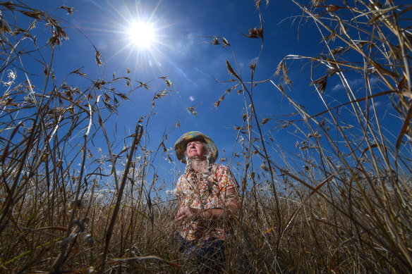 Ecologist Megan O’Shea at the Burnside grassland.
