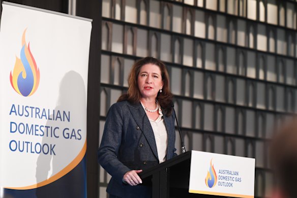 Nationals senator Susan McDonald.