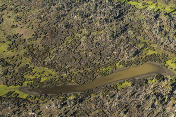 An aerial image of the Murray Valley and Barmah National Parks, part of the Murray-Darling Basin, in 2020.