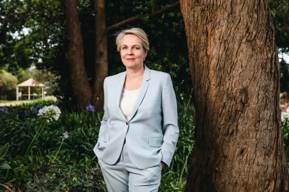 Plibersek says Australian politics has changed since the election.