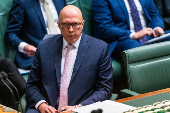 Peter Dutton in question time last month.