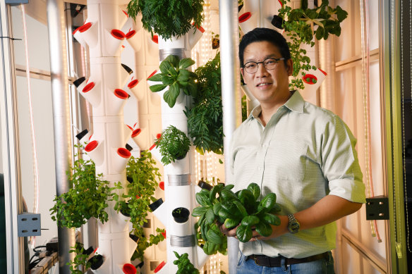 Founder of Invertigro Ben Lee alongside a cube with hydroponic vegetables in it.