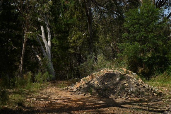 The area around the mound of dirt where the bodies believed to be of Luke Davies and Jesse Baird were discovered.