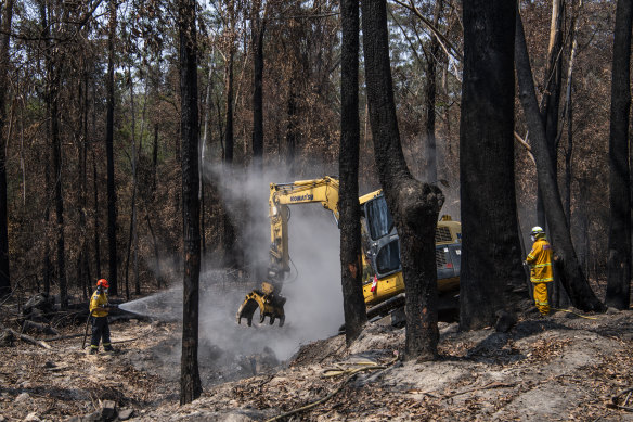 An RFS crew works to extinguish a fire smouldering in buried leaves and tree roots.