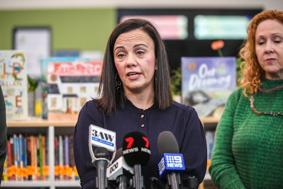 Minister for Children Lizzie Blandthorn confirmed options for a new independent early childcare sector regulator were being examined.