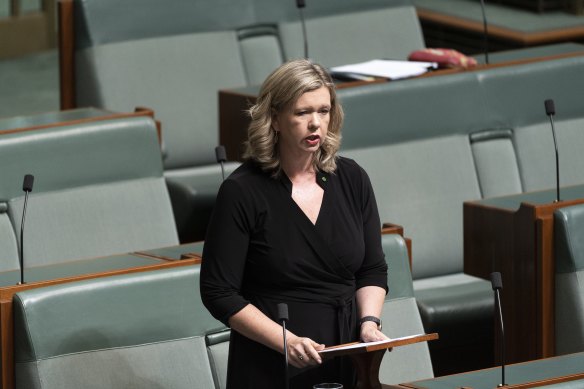 Liberal MP Bridget Archer today.