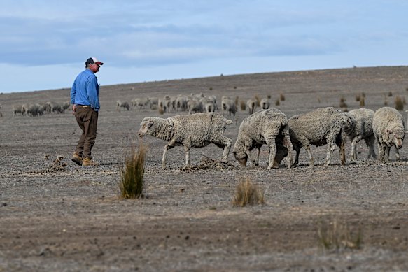 Stuart Green on his parched property.