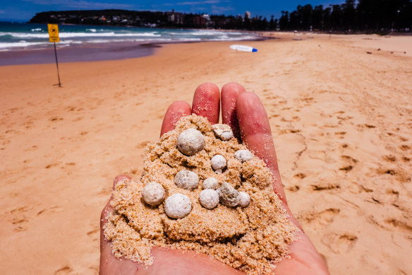 Most of the white debris balls found on the northern beaches are marble-sized.