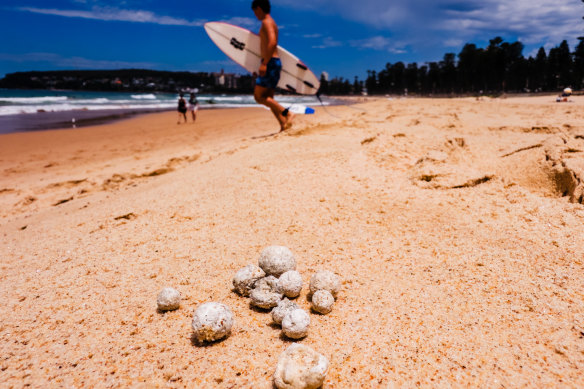 Nine beaches from Manly to North Narrabeen were closed on Tuesday after potentially hazardous ball-shaped debris was found.