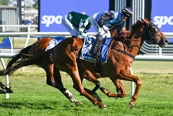Half Yours storms home to win the Caulfield Cup.