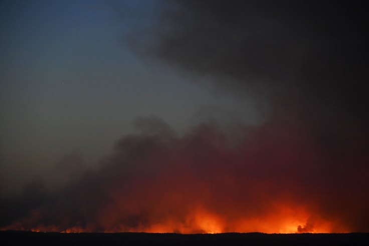 Nsw Fires The Gospers Mountain Fire