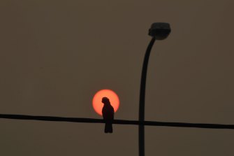 An eerie layer of smog covers Kempsey at dawn as much of eastern NSW faces extreme or catastrophic fire conditions.