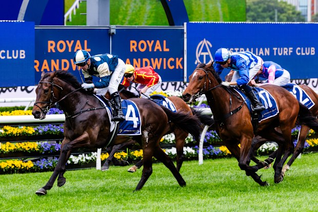 Pointsbet horse racing interface showing bet options