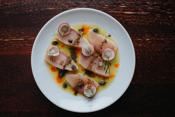 Kingfish crudo.