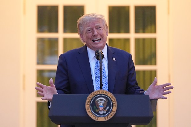 President Donald Trump speaks during a dinner in the Rose Garden.