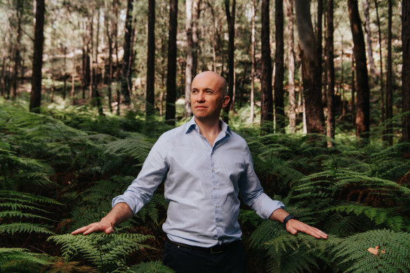 Climate Change Authority chair Matt Kean in Berowra Valley National Park in northern Sydney: “We’ve got a chance to have some of the cheapest energy bills anywhere in the world.”