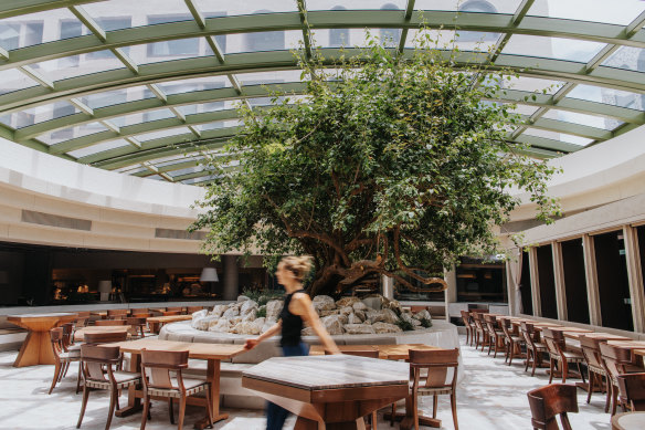Olympus restaurant is opening in the precinct in early December.