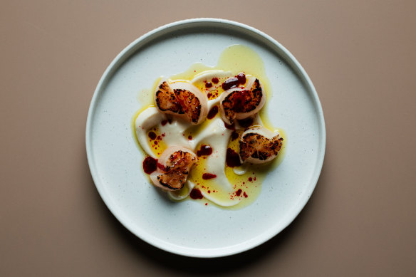 Scallop, macadamia and plum.