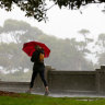 Ready for a rainy day? Three ways you can cut costs and reduce risks