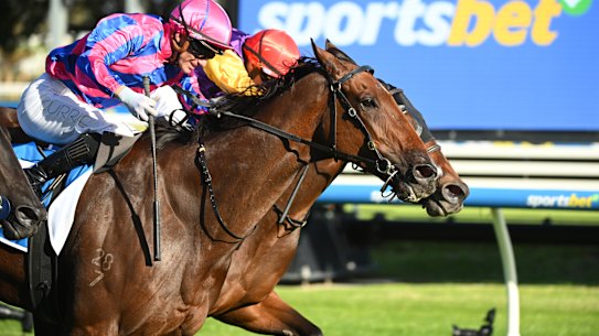 Racing is back at Muswellbrook on Tuesday.