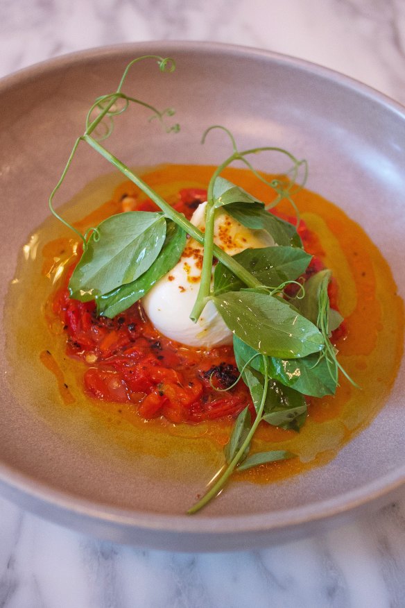 Basque stew with burrata.