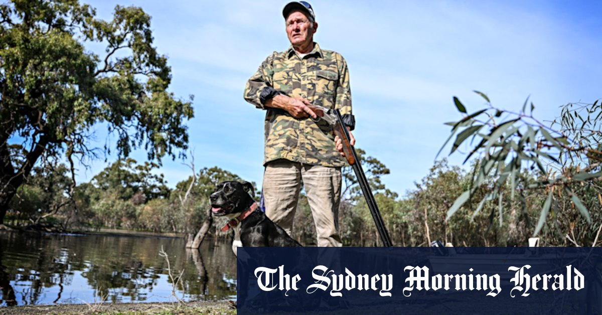Victorian duck hunting season: Shooters prepare for sport to possibly end - Vimarsana News
