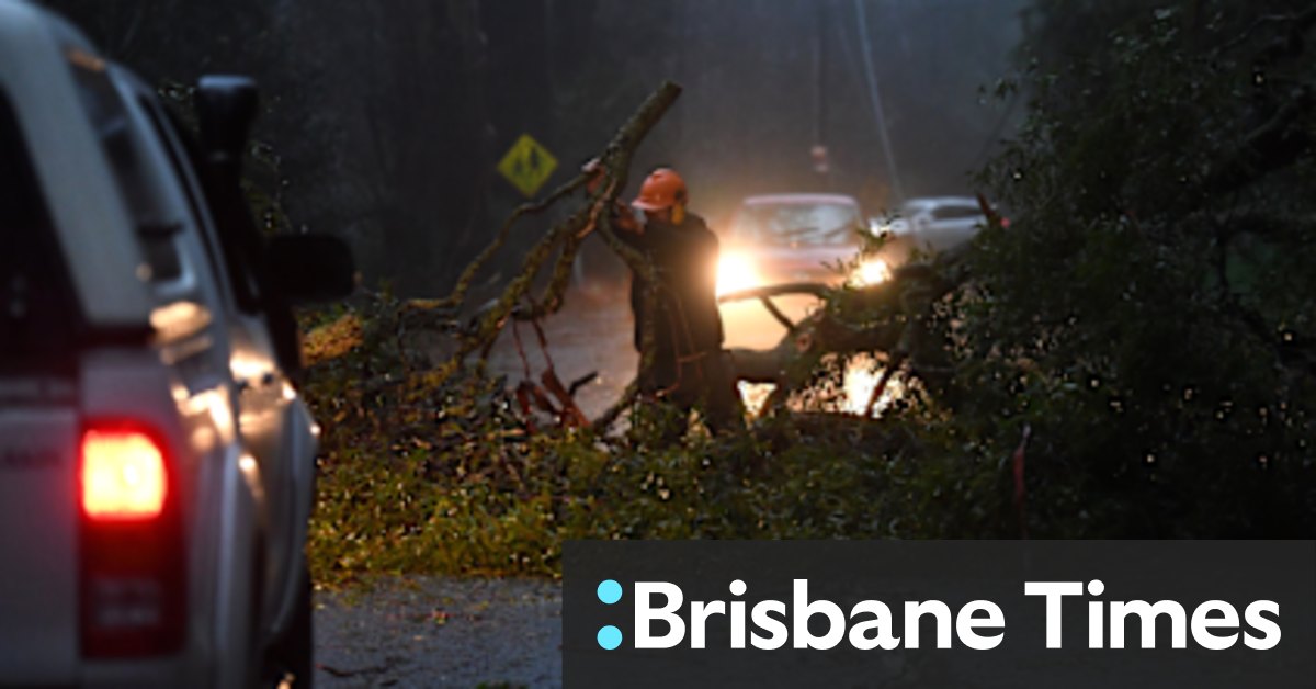 Victoria weather: Fallen trees, flooding, thousands without power across Victoria - Vimarsana News
