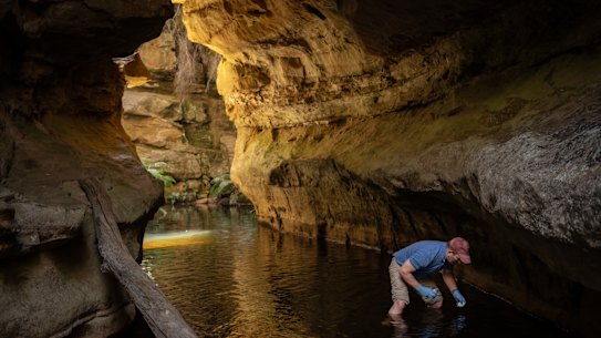 Water scientist Ian Wright takes a water sample near Lake Medlow in the Blue Mountains.