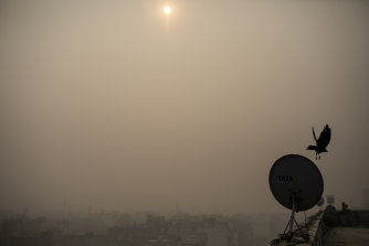 Morning haze envelops the skyline in New Delhi. The city’s Air Quality Index hit 470 on a scale of 500 on Friday.